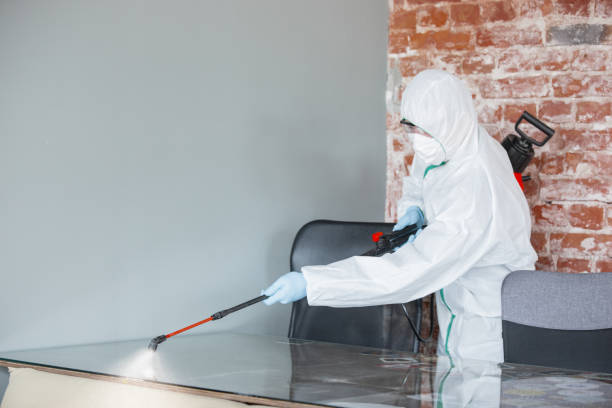 Mold Remediation for Vacation Homes in Mountain View, AR